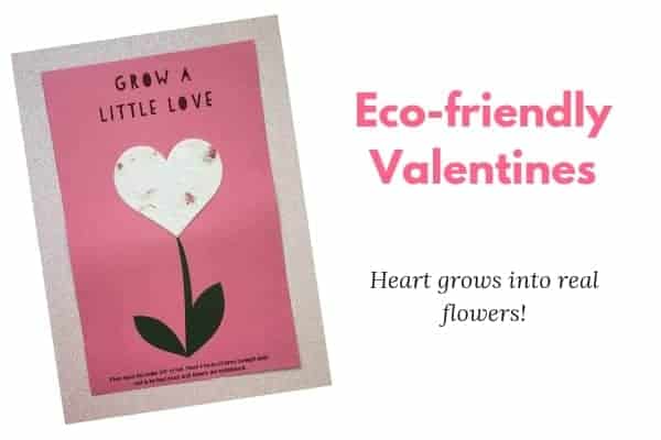 Eco friendly valentine's day gifts